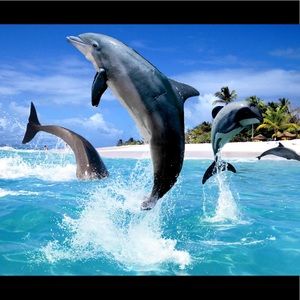 Meet your Posher, Karen